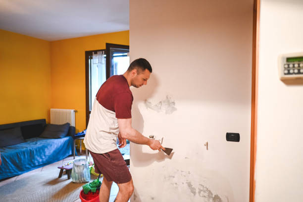 Best HVAC Mold Remediation in Plainview, TX